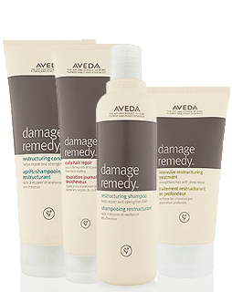 Aveda Damage Remedy Kit